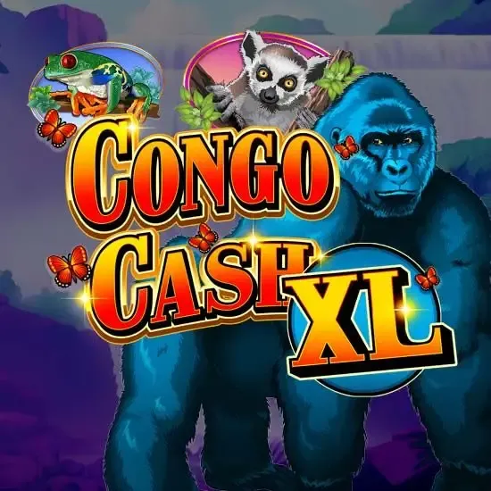 Congo Cash XL