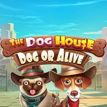 The Dog House : Dog or Alive