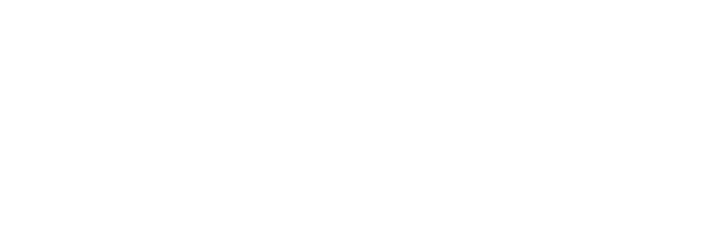 SYNOT