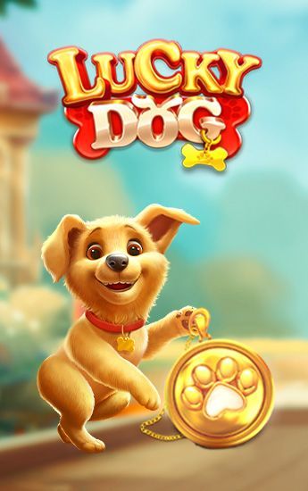 Cachorro Sortudo