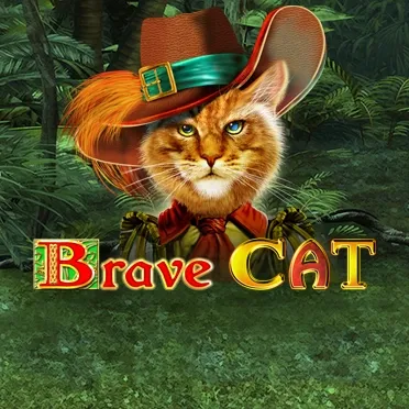 Brave Cat