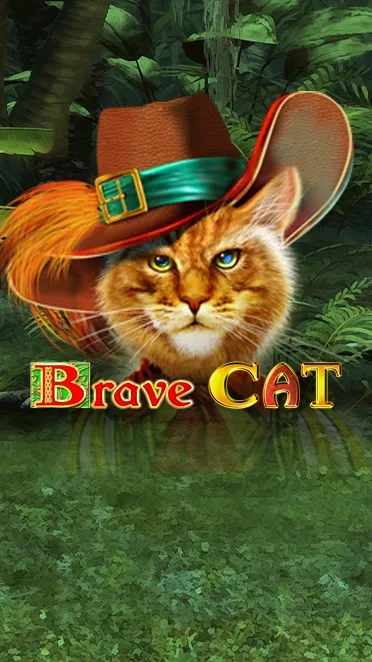 Brave Cat