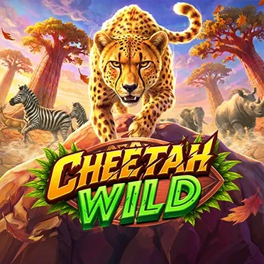 Cheetah Wild
