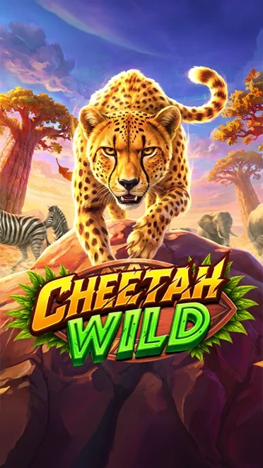 Cheetah Wild