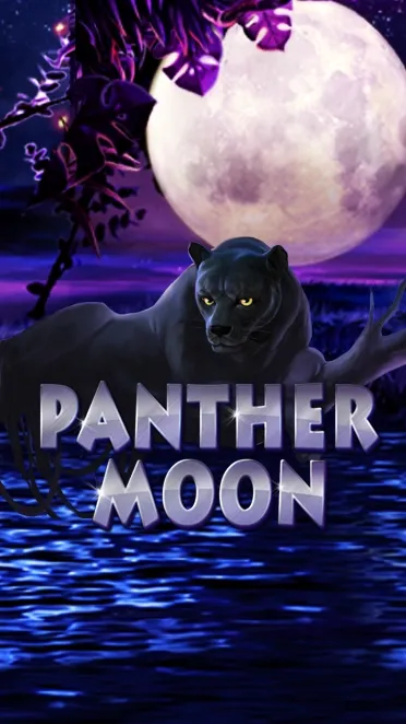 Panther Moon