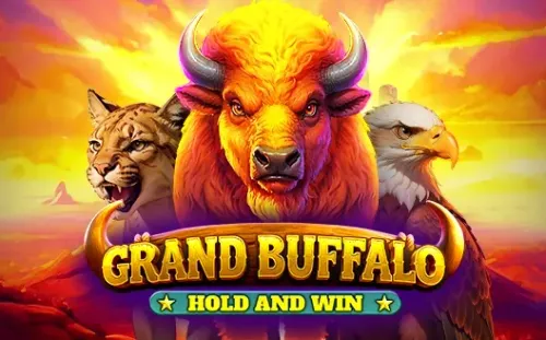 Grand Buffalo : Hold & Win