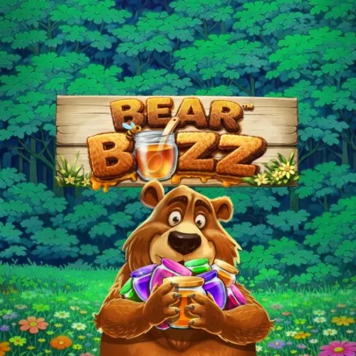 Bear Buzz