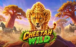 Cheetah Wild